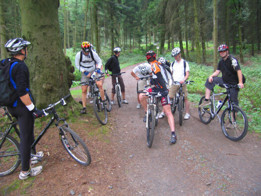 Gruppe von BMP Mitarbeitenden bei einer gemeinsamen Mountainbike-Tour im Wald.